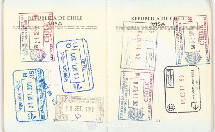 Белорусские пограничники задержали камерунца, который 7 лет путешествовал по поддельному паспорту