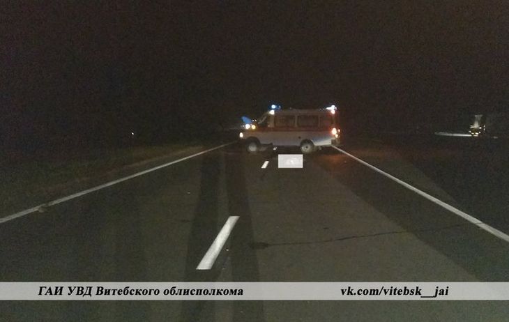 В Толочинском районе на трассе М1 погиб пешеход