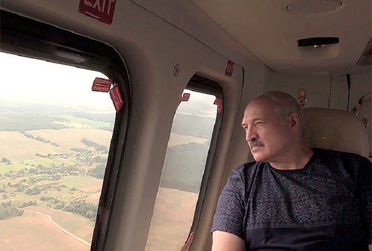 Лукашенко ориентирует регионы на большую самостоятельность в заготовке кормов