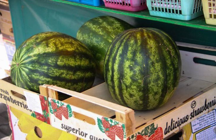 Арбузы с обочин, отсутствие документов: КГК выявил нарушения в розничной торговле в Минской области Арбузы с обочин, отсутствие документов: КГК выявил нарушения в розничной торговле в Минской области