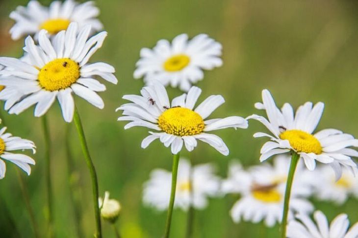 Погода на выходные в Беларуси: отличное завершение лета Погода на выходные в Беларуси: отличное завершение лета
