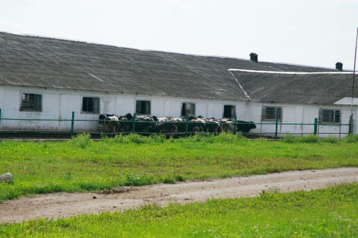 КГК выявил 200 фактов беспорядка в организациях АПК за два месяца