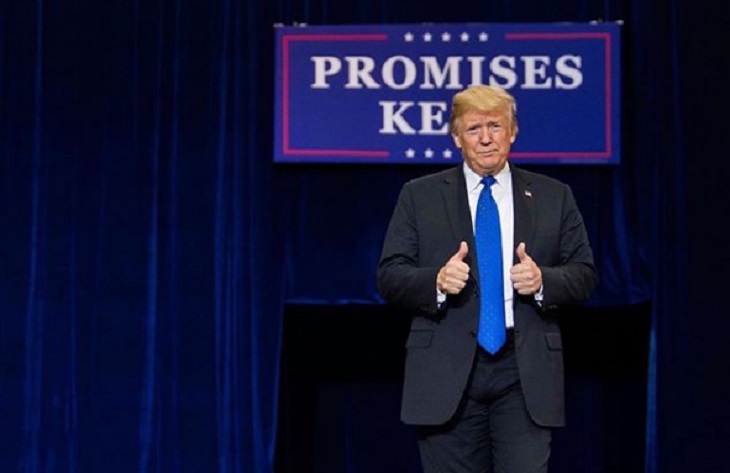 В России отреагировали на попытку Трампа купить Гренландию