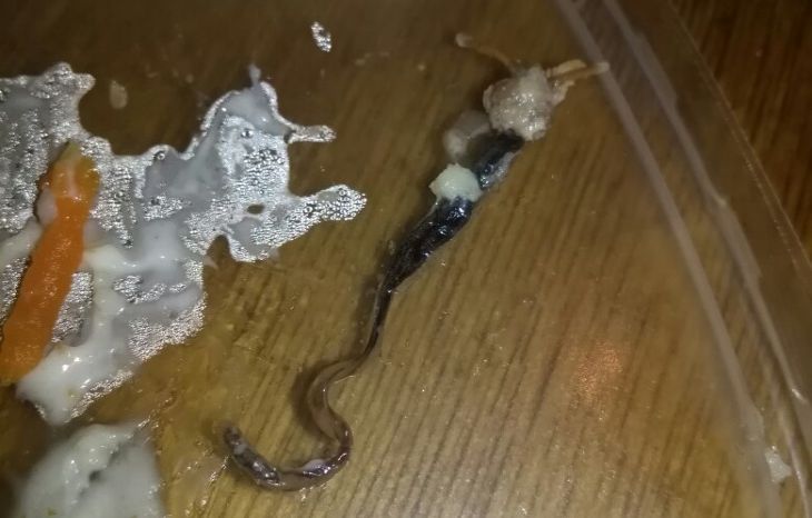 «Это пришелец?»: мужчина купил салат с подозрительной начинкой