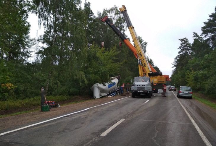 Лось против МАЗа: под Гродно сохатый отправил в кювет цистерну с цементом 