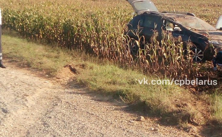 ДТП в Ивацевичском районе: авто оказалось в кукурузном поле