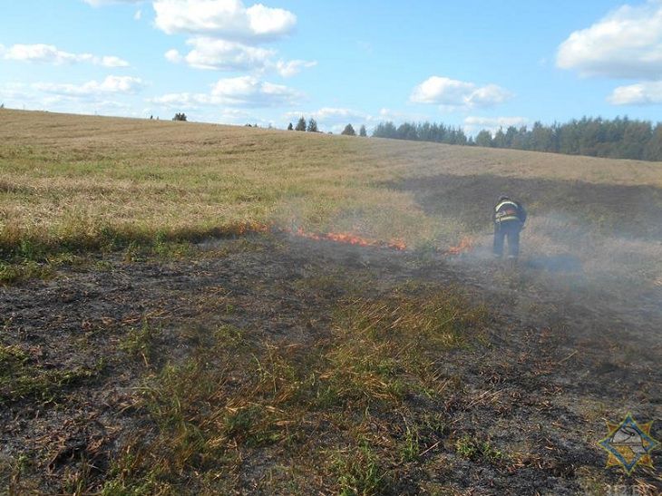 В Оршанском районе спасали от уничтожения поле