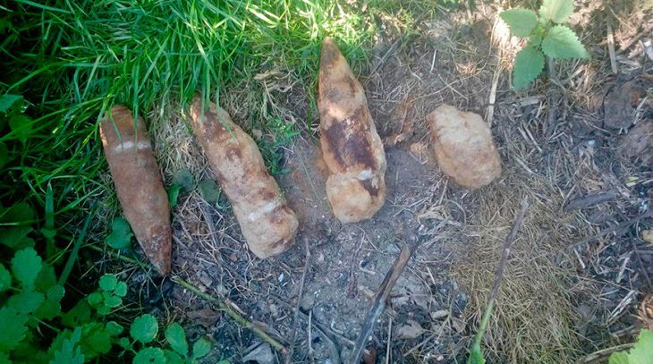 Житель Лоевского района копал огород и наткнулся на боеприпасы