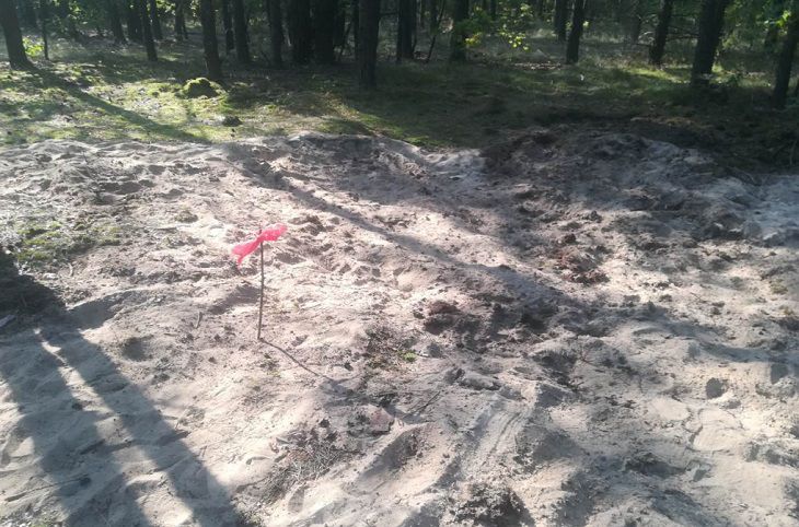 Гранаты нашли на лесной поляне под Малоритой