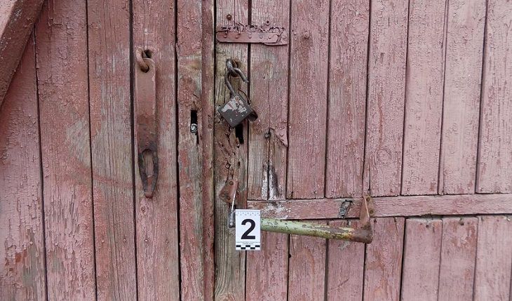 Почему в АПК Могилевщины крадут? СК ответил Почему в АПК Могилевщины крадут? СК ответил