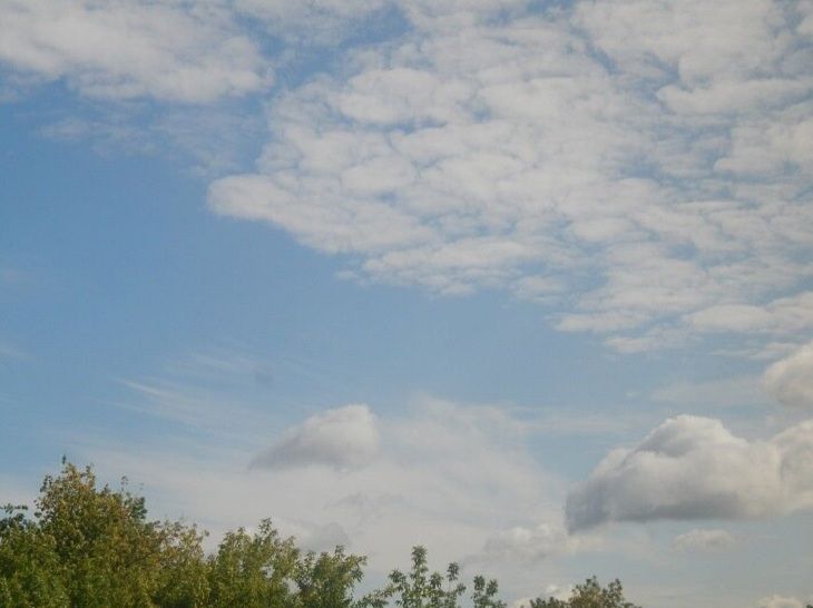 Погода на день 30 августа: желтый уровень опасности Погода на день 30 августа: желтый уровень опасности