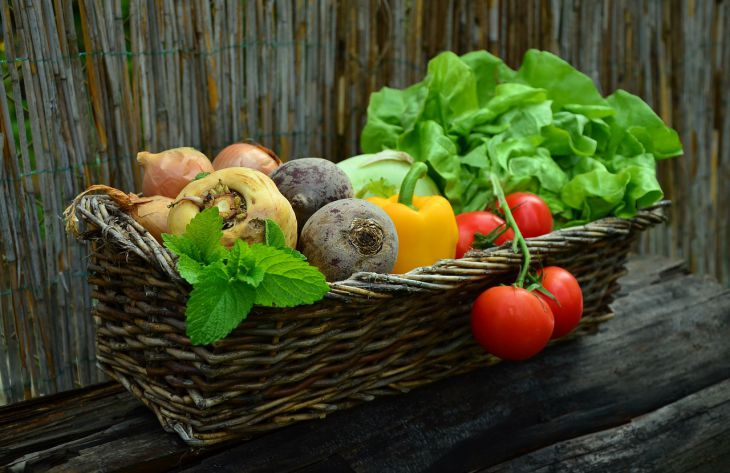 Дачные советы: какие овощи и фрукты могут дозреть, если их собрать заранее