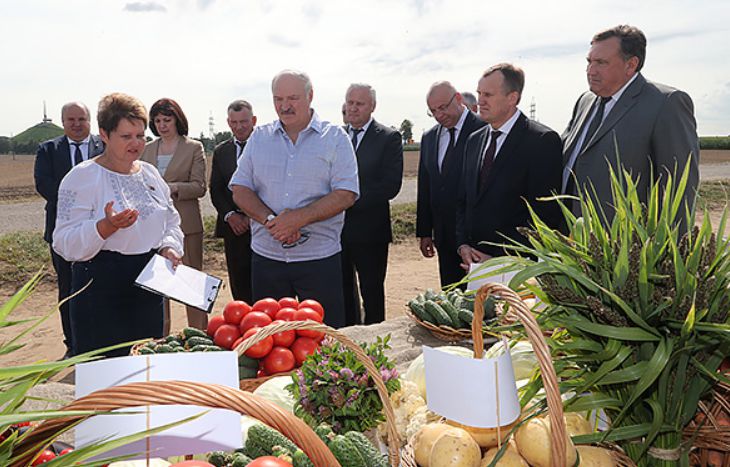 Лукашенко – чиновникам: «Вы мне не страдайте. Ваше дело – продать то, что вырастили крестьяне»