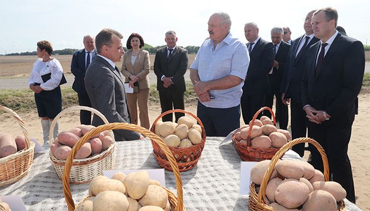 Лукашенко рассказал, как Путин хвалил белорусскую картошку