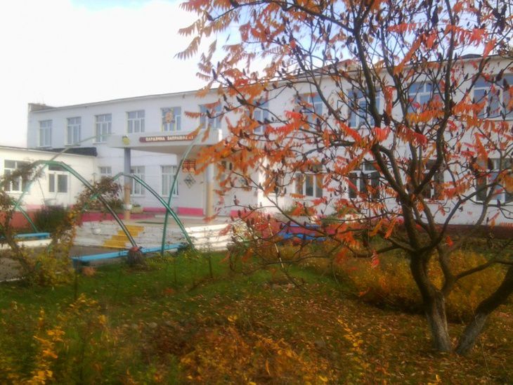 В Калинковичском районе «заминировали» школу. Линейку провели у сельсовета