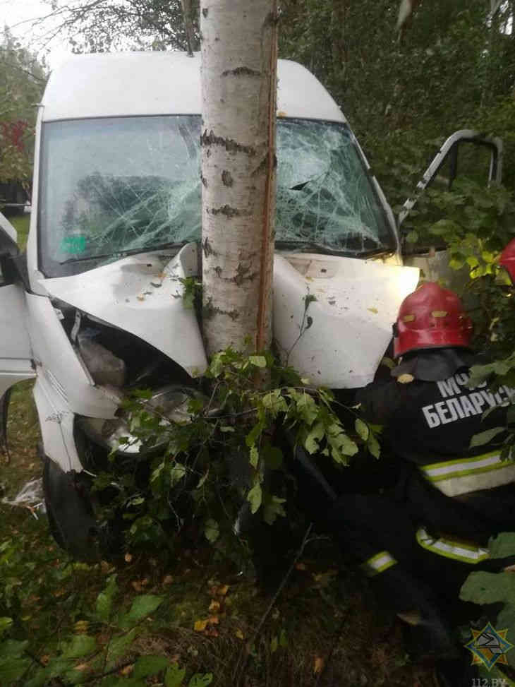 В Лепельском районе микроавтобус протаранил дерево