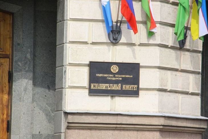 Наблюдать за парламентскими выборами в Беларуси будут сотни представителей от СНГ