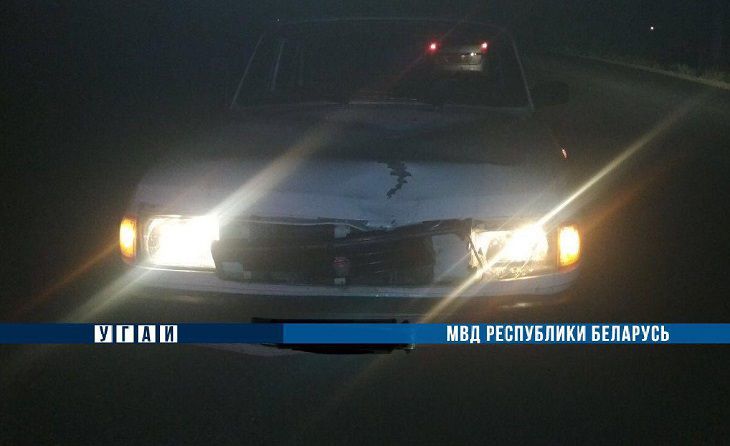 Возле Жабинки пенсионер на «Волге» насмерть сбил пенсионера на велосипеде 