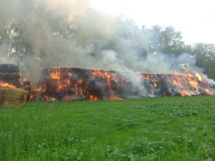 В Жлобинском районе произошел крупный пожар. Нанесен значительный ущерб
