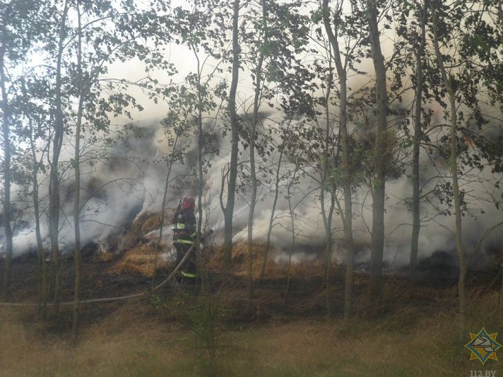 В Жлобинском районе произошел крупный пожар. Нанесен значительный ущерб