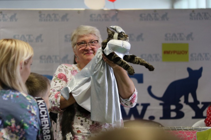 Животные в бальных платьях и десять котов дома. Посмотрите, как прошла выставка кошек в Минске