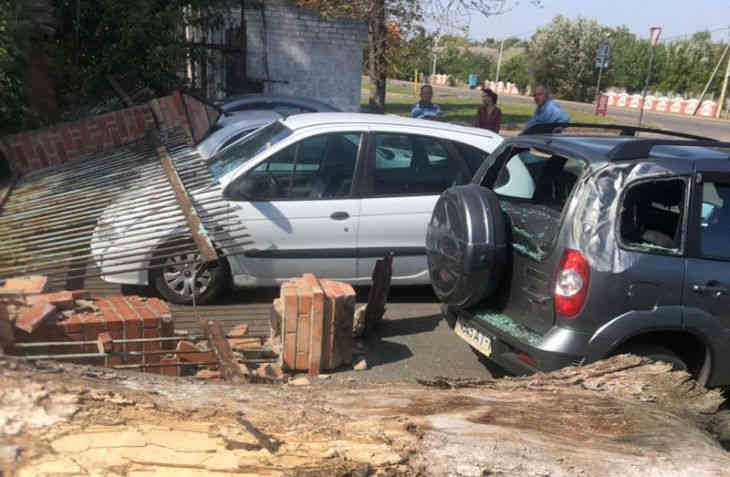 Упавшее в Кобрине дерево повредило четыре автомобиля