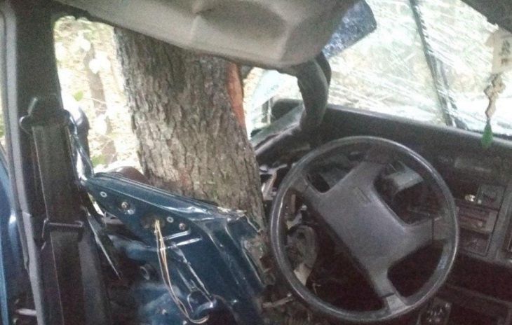 В Лунинецком районе бесправник вылетел в кювет и врезался в деревья: он в больнице