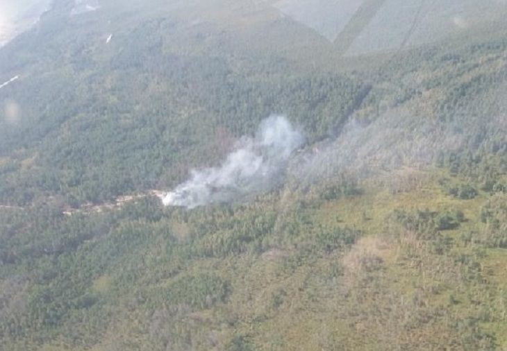 В Брестской области горит лес, но ситуация сложная