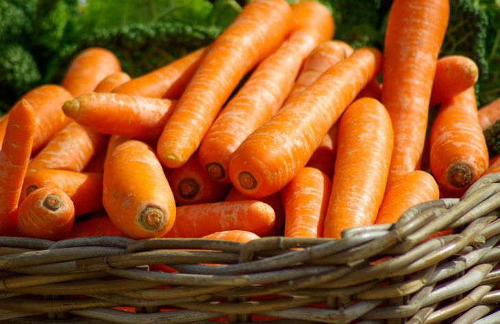 Медики перечислили полезные свойства моркови