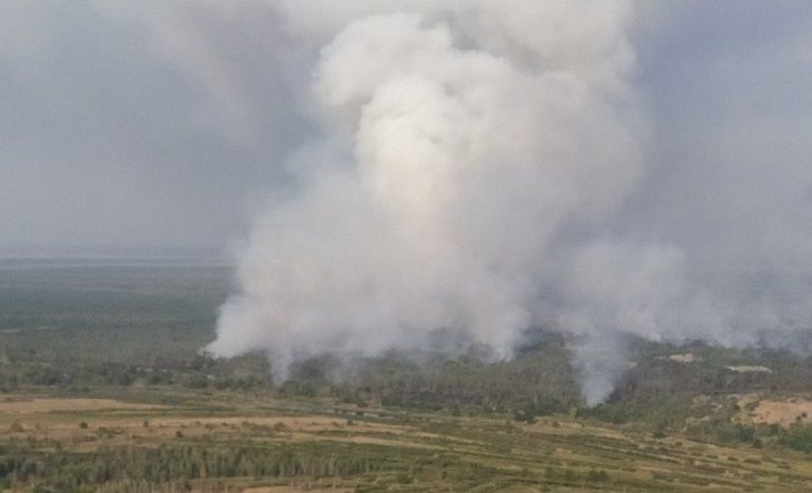 Масштабный лесной пожар в Полесском лесхозе потушили