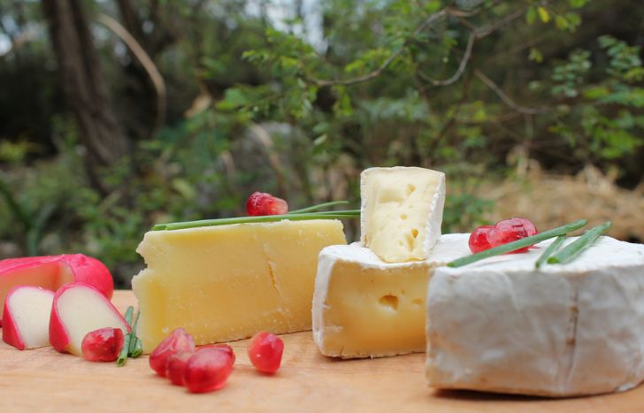 Специалисты назвали 5 ценных для здоровья свойств сыра