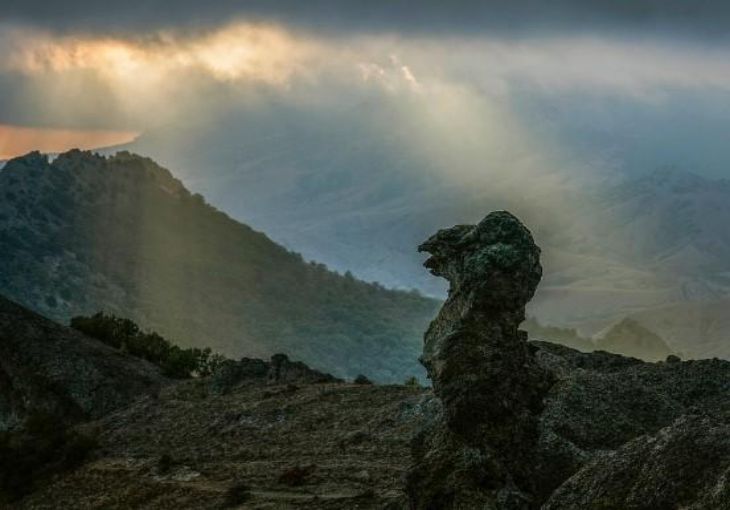 Во время наводнения в Китае было замечено загадочное существо – кадры 
