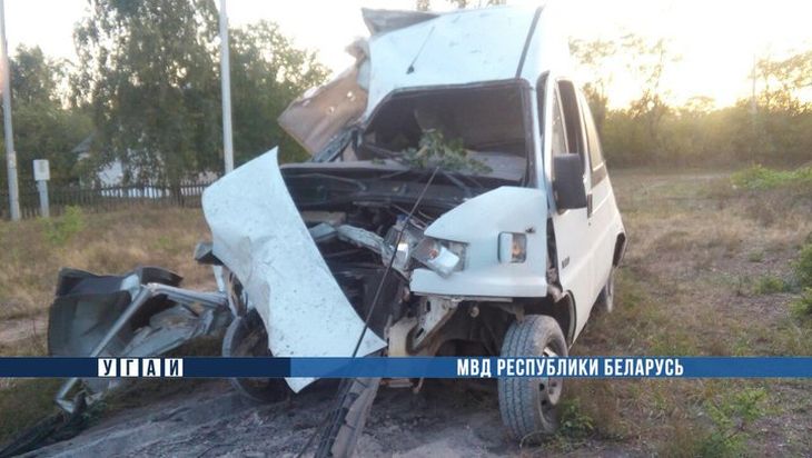 18-летний пьяный водитель на микроавтобусе под Кобрином врезался в деревья: пострадали люди