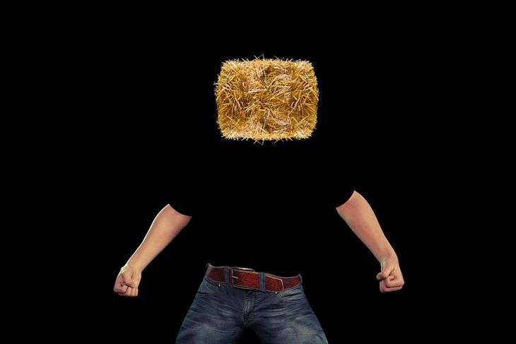 Ученые назвали три распространенных вида глупости Ученые назвали три распространенных вида глупости