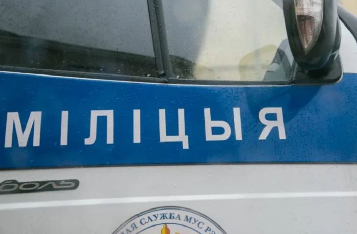 В Борисове задержали серийного вора