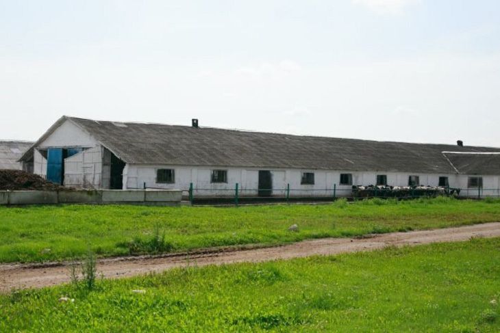 Президент выделил из бюджета 43 млн рублей на достройку молочных ферм