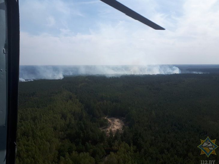 Уже вторую неделю на Столинщине бушуют лесные пожары