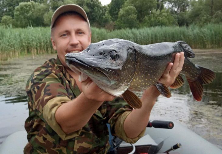 «Если еще раз словлю такую рыбину, то обязательно ее отпущу». Рыбак раскрывает секреты хорошего улова