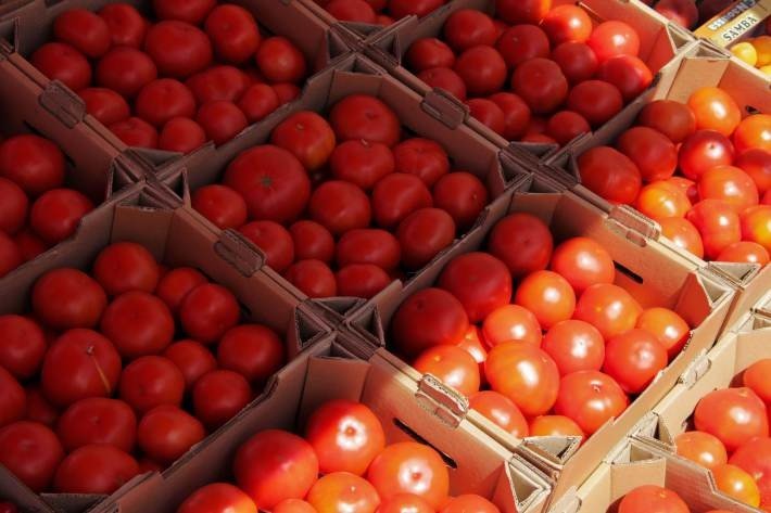 В Минске стартует сезон осенних сельхозярмарок. В какие дни и что можно будет купить