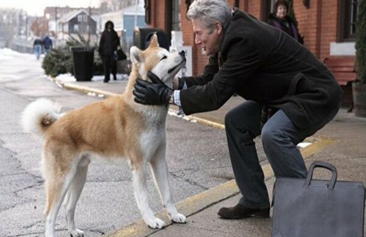 3 лучших фильма про собак 3 лучших фильма про собак