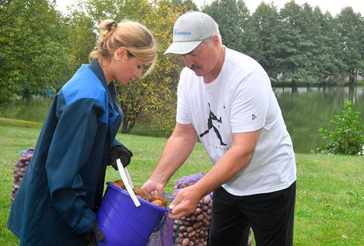 Лукашенко рассказал об урожайности картошки на своем поле Лукашенко рассказал об урожайности картошки на своем поле