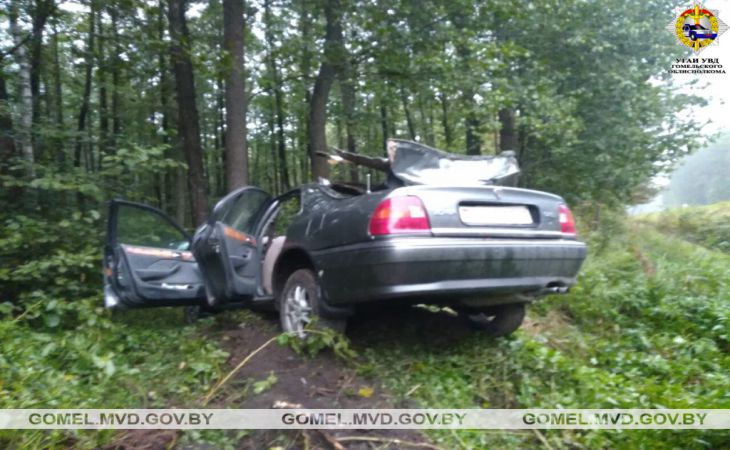 Лось спровоцировал ДТП в Жлобинском районе: пострадали два человека