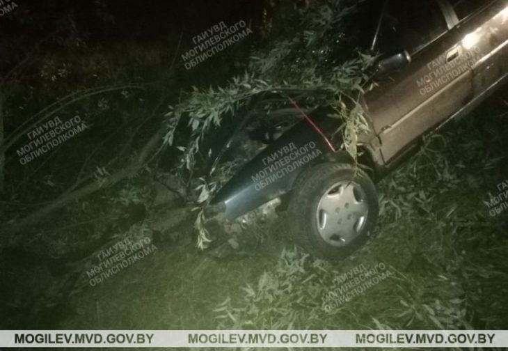 Citroen вылетел в кювет в Костюковичском районе: пострадали трое