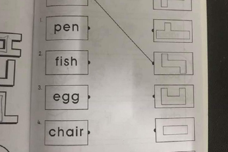 Пользователи сети сломали головы над простой задачей для дошкольников