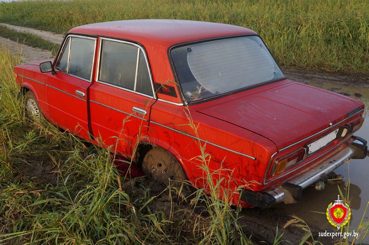 В Ветковском районе угонщика автомобиля нашли по оставленным следам