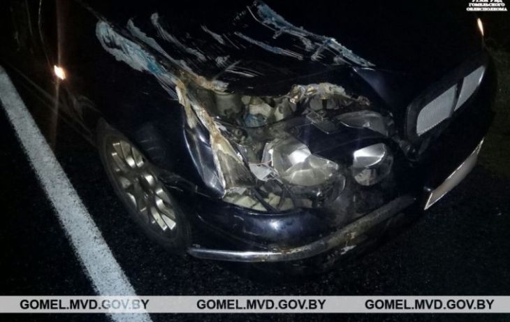 В Речицком районе гужевая повозка не уступила автомобилю: возчик в больнице