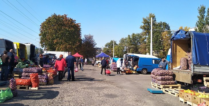 Лук, перец, томаты, арбузы и мед. Что и за сколько продают на сельскохозяйственной ярмарке в Минске Лук, перец, томаты, арбузы и мед. Что и за сколько продают на сельскохозяйственной ярмарке в Минске
