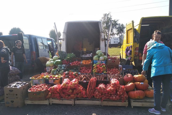 Лук, перец, томаты, арбузы и мед. Что и за сколько продают на сельскохозяйственной ярмарке в Минске