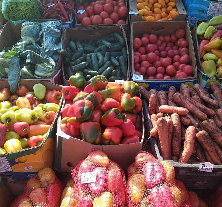 Лук, перец, томаты, арбузы и мед. Что и за сколько продают на сельскохозяйственной ярмарке в Минске
