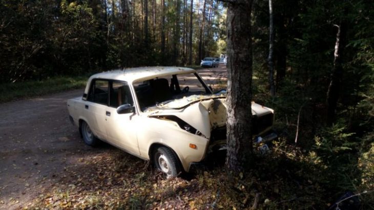 Пожилой витеблянин на «жигулях» влетел в дерево